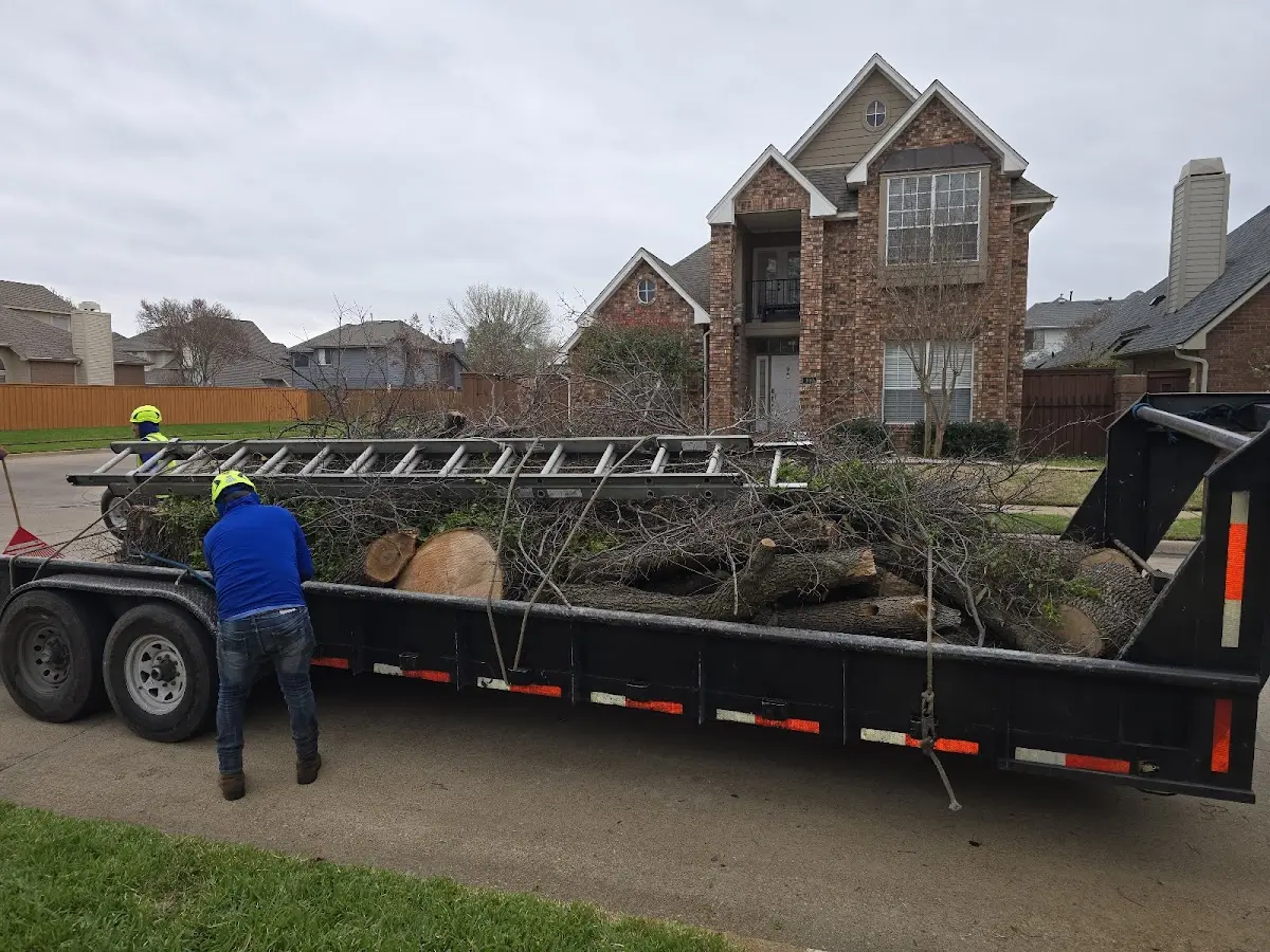 Expert Tree Removal with proper safety equipment in Marion